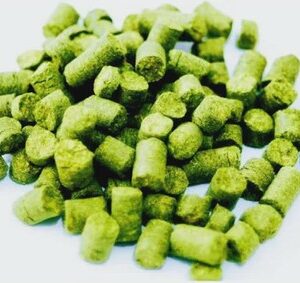 Talus Hops (Sold per gram)