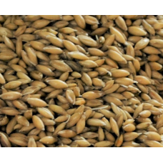 Big O - Malted Oats ($6.40 per kg)