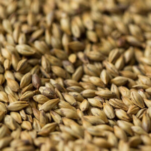 Dark Crystal Malt ($5.80 per kg)