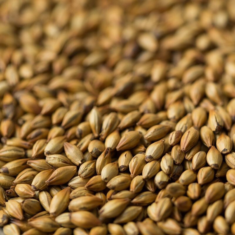 Medium Crystal Malt ($5.40 per kg)