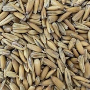Golden Oat Malt ($5.95 per kg)
