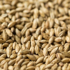 Gladiator ($5.45 per kg)