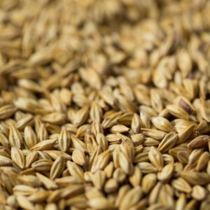 Pilsner Malt ($4.10kg)