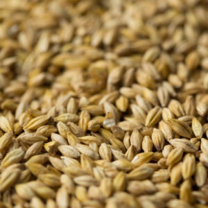Sour Grapes Malt ($7.10 per kg)