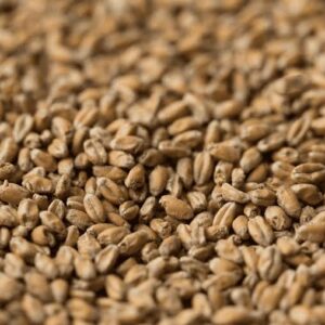 Chit Wheat Malt ($6.45)