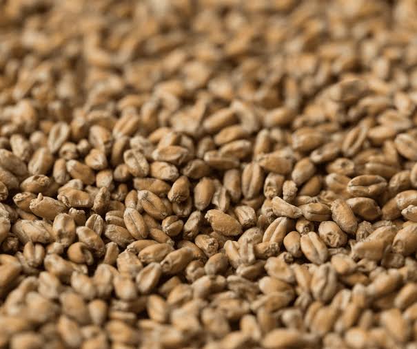 Chit Wheat Malt ($6.45)