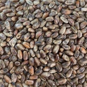 Redback Wheat Malt (5.95kg)